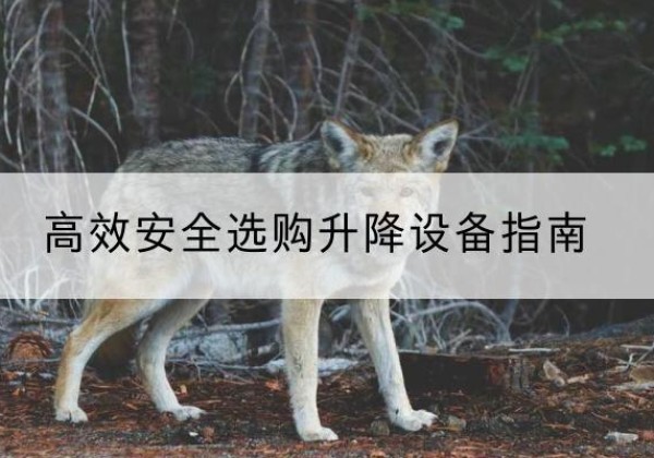 清河门升降货梯厂家推荐-*安全选购升降设备指南