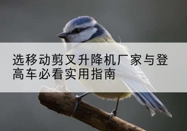 清河门电动升降机厂家-选移动剪叉升降机厂家与登高车必看实用指南